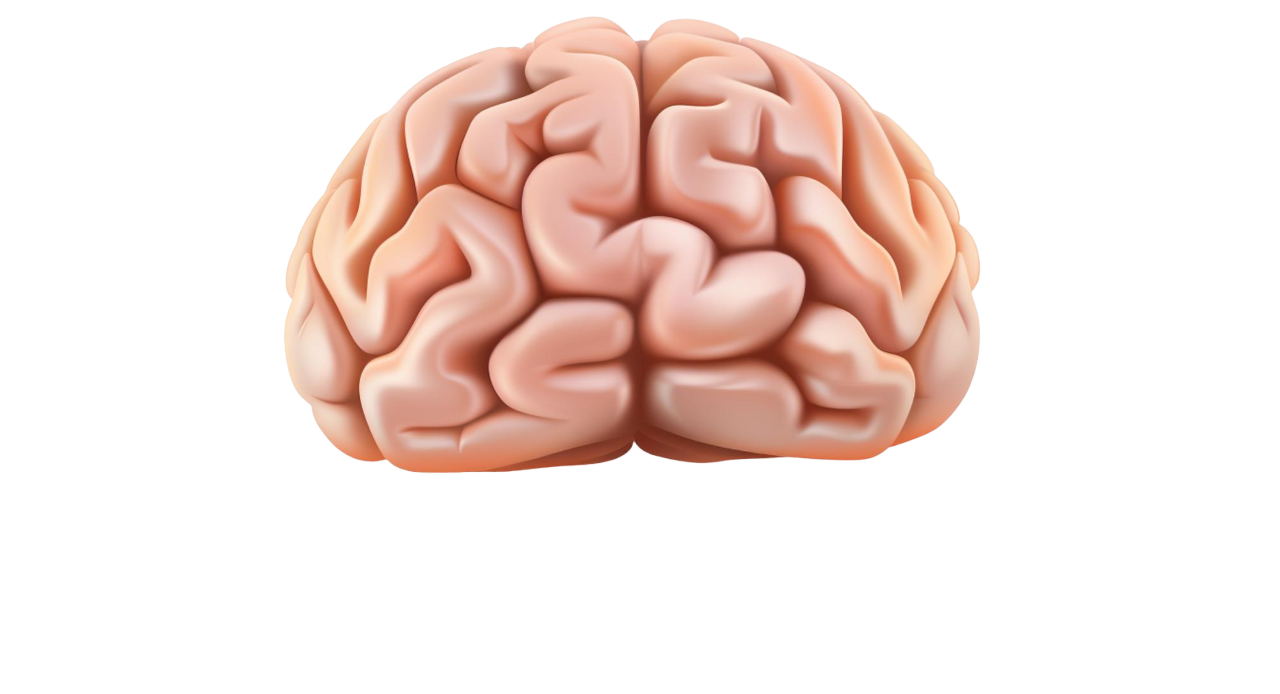 brain